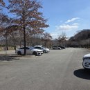 GS25세종파크점 | 세종 가볼만한곳 베어트리파크 솔직후기 (아이랑 가기 좋은 이유)