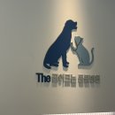 꿈이크는 동물병원 | 잠실/송파 동물병원 내돈내산 추천 : 꿈이크는동물병원 노령견 담낭슬러지, 신부전 잘 보는 동물병원
