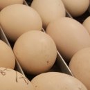 청계마을민박 이미지