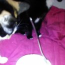 힛트랜드 이미지