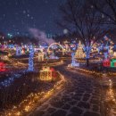 유림정류장 | 2025 대전 유성온천 크리스마스 축제 완벽 가이드: 유림공원 트리부터 맛집, 숙소까지!