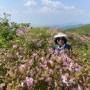 천둥산쉼터