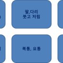 세안한방병원 이미지