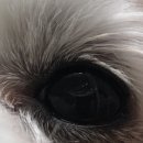 24시핸즈동물의료센터 이미지