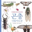 향상어린이문고 이미지