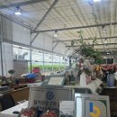 별마을농장 이미지