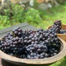 장유어린이집 이미지