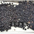 흑호도매