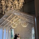 탕후루&카페 이미지