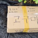 더팜코리아 이미지