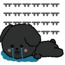 강아지고양이편의점새롬