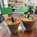 책+식물놀이터 이미지