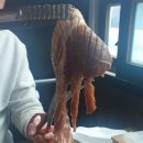 홍장군참숯불갈비 이미지