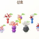 산호문구