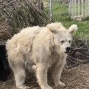 구원3 | 합정 미용실 추천 '박승철헤어스투디오 교보합정점' 구원 디자이너 후기