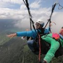 스위스약국 이미지