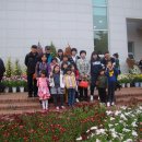 금포초등 이미지