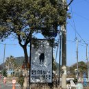 명희네식당 | 제주도 도민맛집 오설록 근처 한식뷔페 추천 명희식당