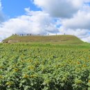 연천 호로고루 이미지