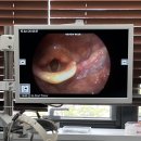 프라나이비인후과의원 이미지