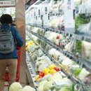 신선마트 이미지