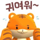 고천다목적체육관 이미지