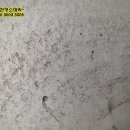 회봉송촌로 이미지