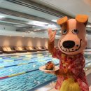 알로하도그 이미지