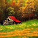 초원의 빛 이미지