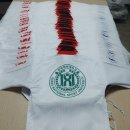 국가대표 태권 스포츠 이미지