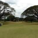 타이거골프클럽 이미지