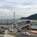 송도토마토공인중개사사무소 이미지