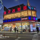 머구리소년