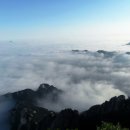 안경박사 이미지