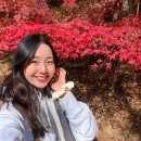 우리목장 | 대관령 순수양떼목장 오대산 월정사 단풍 : 임신 후기 여행