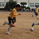 광탄중학교 이미지