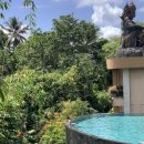 호성슈퍼 | 우붓에서 길리 섬으로 발리여행2, 더카욘리조트 플라타란우붓호텔 로만사뷰티네일 길리숙소