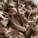 날마다복 두류점 | 작두콩 - 작두의 날처럼 크고 넓적하게 생긴 것 - 건강 한 알