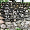 돌담 이미지