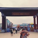 낭만 홍'S 이미지