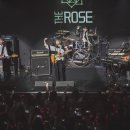 더로즈
