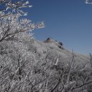 109차 전남 광양 백운산 [白雲山] 정기산행 이미지