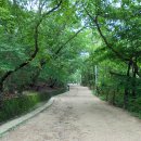 옛길공원 화장실 이미지