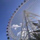 알면 알수록 빠져드는 색연필화 | 속초 중앙시장 순대, 강원도 막걸리 술빵, 오징어순대, 만석 닭강정, 건조생선 후기!