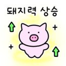 순댕이네얼큰칼국수