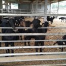 복희 농장 이미지