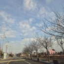 무안생태갯벌사업소 이미지