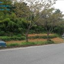 남해-255 네이버블로그