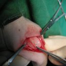 용인센트럴동물병원 이미지