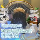 올리브영철산역점 | 헤드스파 추천] 아크시네일 헤드스파 광명철산역점 재방문 후기｜꿀잠 보장 아로마 두피케어로 힐링 완료!